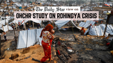 Aid alone is not enough for the Rohingya.png