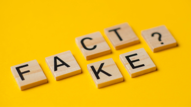 canva_fact-fake.png