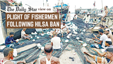 Address the plight of hilsa fishermen