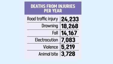 Deaths From Injuries Per Year Deaths From Injuries Per Year