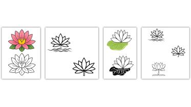 water lily electoral symbol dispute Bangladesh water lily electoral symbol dispute Bangladesh