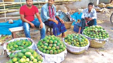 Mango traders