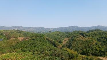 tourism ban thanchi.jpg