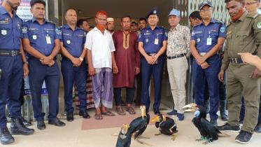 hornbills rescued.jpg