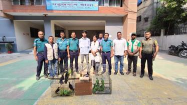 Birds selling online-Arrest.jpg