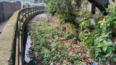 Authority still inadvertent to save blocked Banshai canal S_1C.jpg