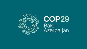 COP29-UN.jpg