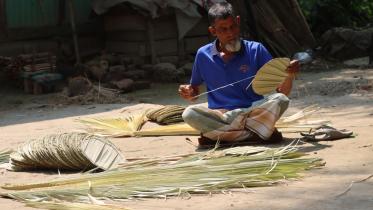 palm fan of chadshi village_2de4.jpg