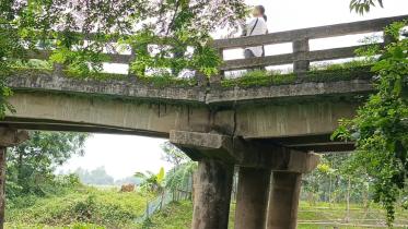 bridge.jpg