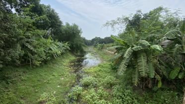 Story on Narode River in Rajshahi_a753.jpg