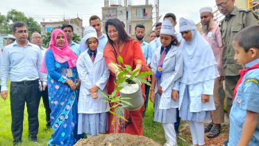 Tangail News.jpg