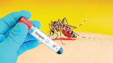 Dengue Cases Triple in June Amid Sluggish Mosquito Control.jpg