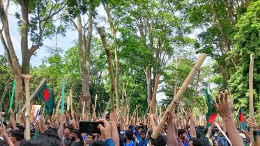 Story on July 16th_cd88.jpg