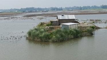 Cluster homesteads gain popularity in tiverine areas to resist floods_f6d0.jpg