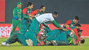 tigers beat pak 1.jpg