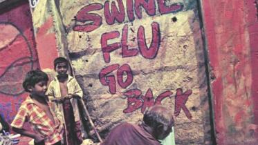 swine-flu.jpg
