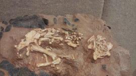 20160225_111902.b57a6171302.original (1).jpg