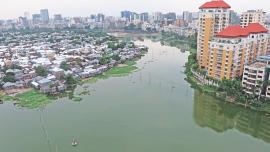 A contrasting view.jpg