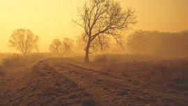 Winter, Grief, and Glee