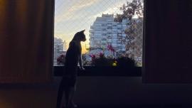 15 years of iPhone: Evolution in photography