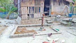 salinity problem in Sundarbans Bangladesh