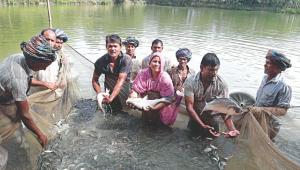Aquaculture-in-Bangladesh.jpg