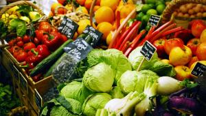 food-and-planet.jpg