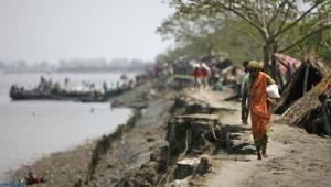 adaptation-resilience-climate-change.jpg