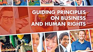 UN-Guiding-Principles.jpg