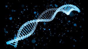 Neanderthals-DNA-covid-19-impact.jpg