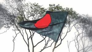 bd flag.jpg