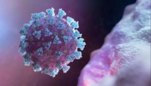 Coronavirus Update