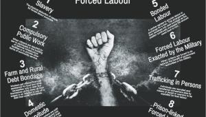 Forced labour The law of the jungle