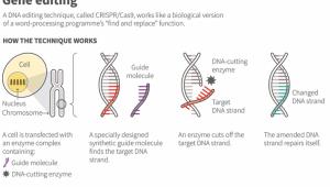 gene.jpg