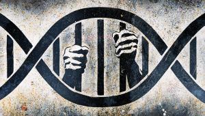 human rights jail.jpg