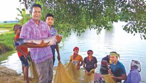 Organic food producer.jpg