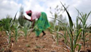 Sustainable livelihood