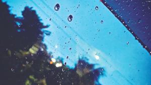 tagore rainy days.jpg