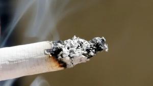 tobacco products.jpg