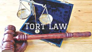tort law.jpg