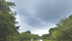 Travel in luxury or on a budget