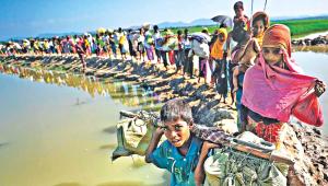 citizenship-rohingya.jpg