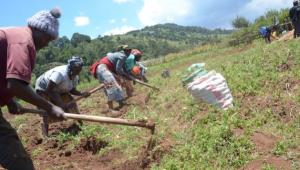 farming-kenya-joyce-629x416.jpeg