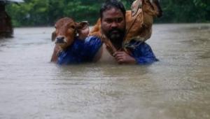 animal rescue sylhet sunamganj Severe flooding 