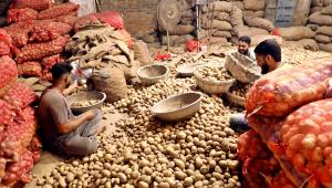 Potato price surges during peak season