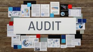 auditors failed to show real business conditions