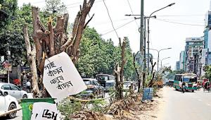 tree plantation policy in Bangladesh