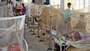 Dengue in hospital