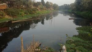 killing-boral-river.jpg