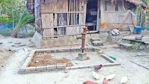 salinity problem in Sundarbans Bangladesh